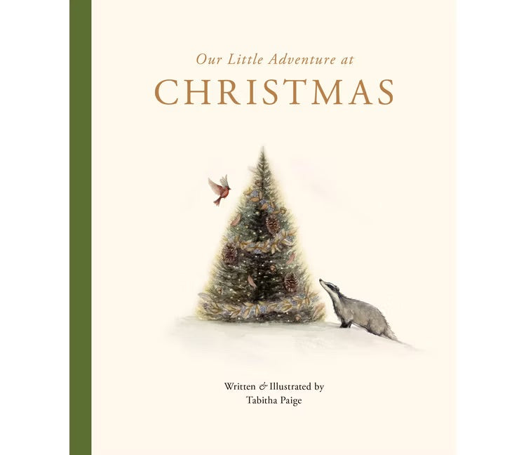 Our Little Adventure at Christmas