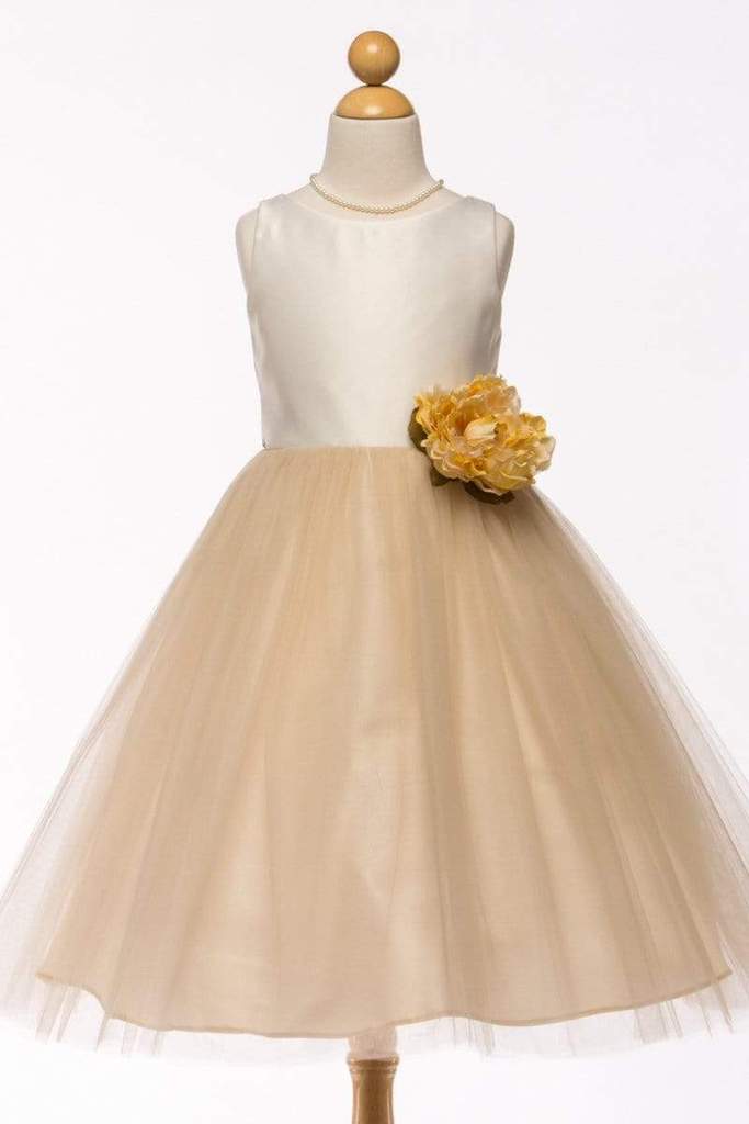 Petite Adele Hannah Dress

Champagne