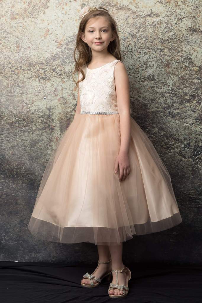Petite Adele Normani Dress

Champagne