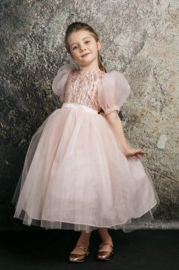 Petite Adele Valentina Dress

Blush