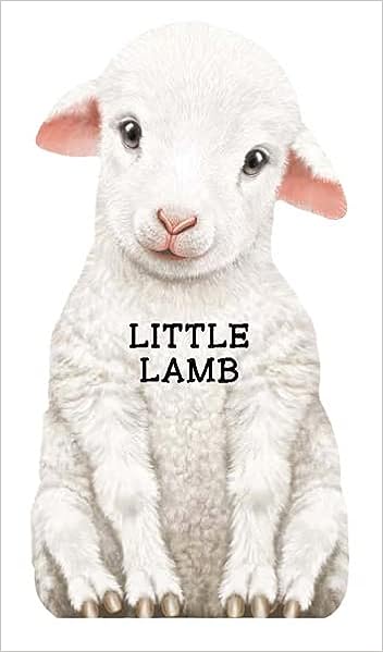 Little Lamb Book