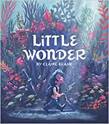 Little Wonder Book