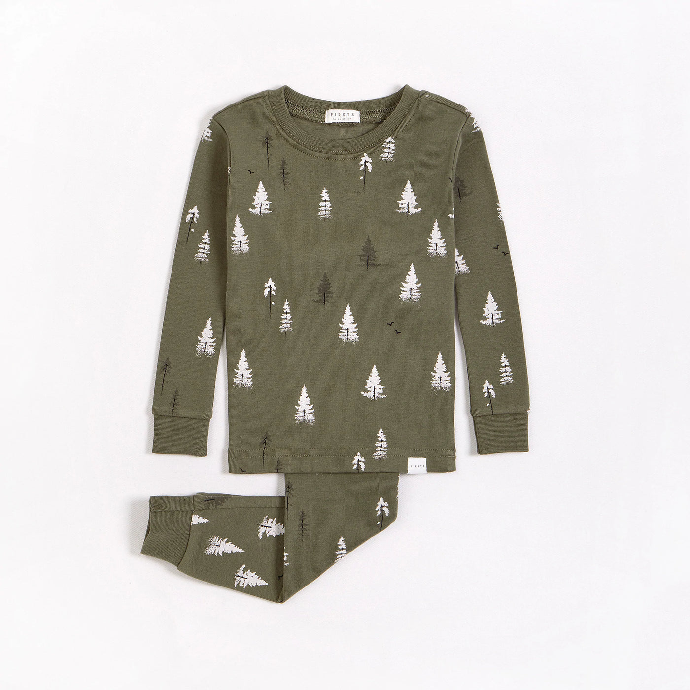 Conifer Print on Foggy Forest